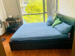 Palm Isles (D17), Condominium #626990441